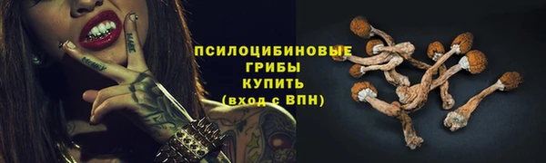 дживик Абинск
