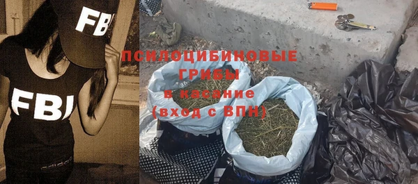 дживик Абинск