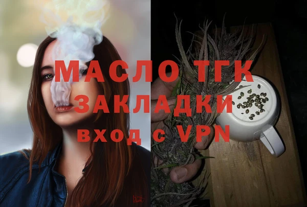 дживик Абинск