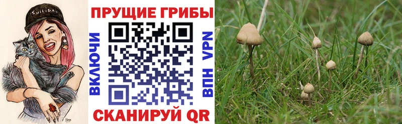 Псилоцибиновые грибы мухоморы  Калининград 